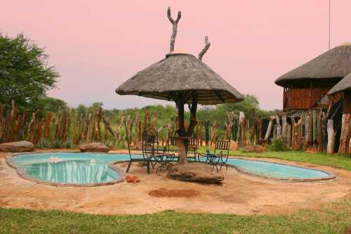 karongwe Bush iMG_5417-2